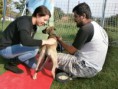 /album/smaragd-agility-kupa/p9220162-2-jpg/